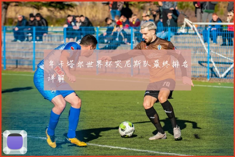 年卡塔尔世界杯突尼斯队最终排名详解